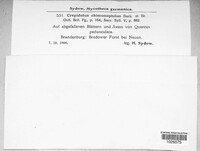 Image Associated With the Occurence